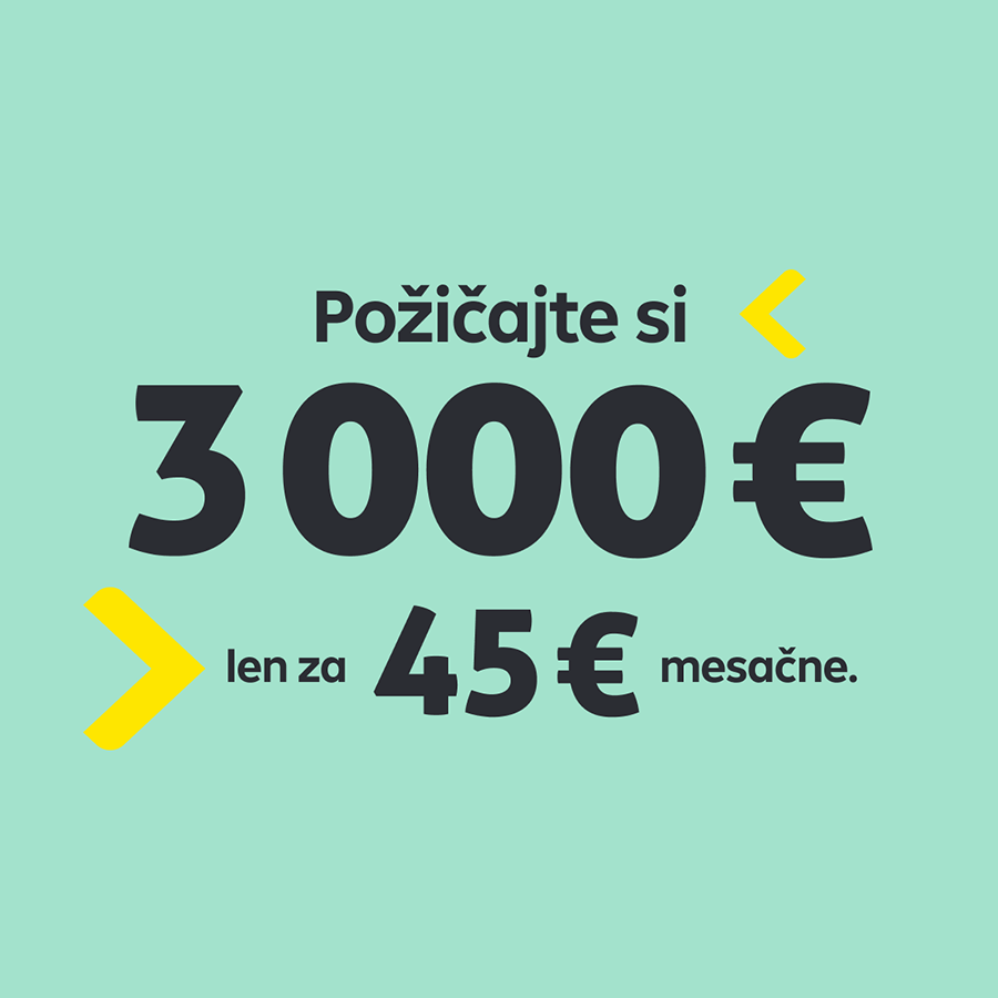 Pôžička 3000 € za 45 €